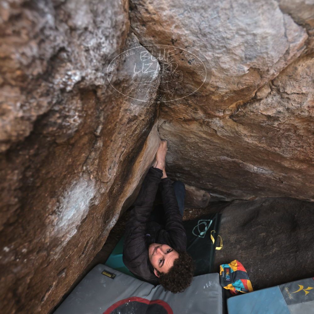 Filename: SRM_20221228_1611070.jpg
Aperture: f/4.0
Shutter Speed: 1/320
Body: Canon EOS R6
Lens: Canon EF 16-35mm f/2.8 L