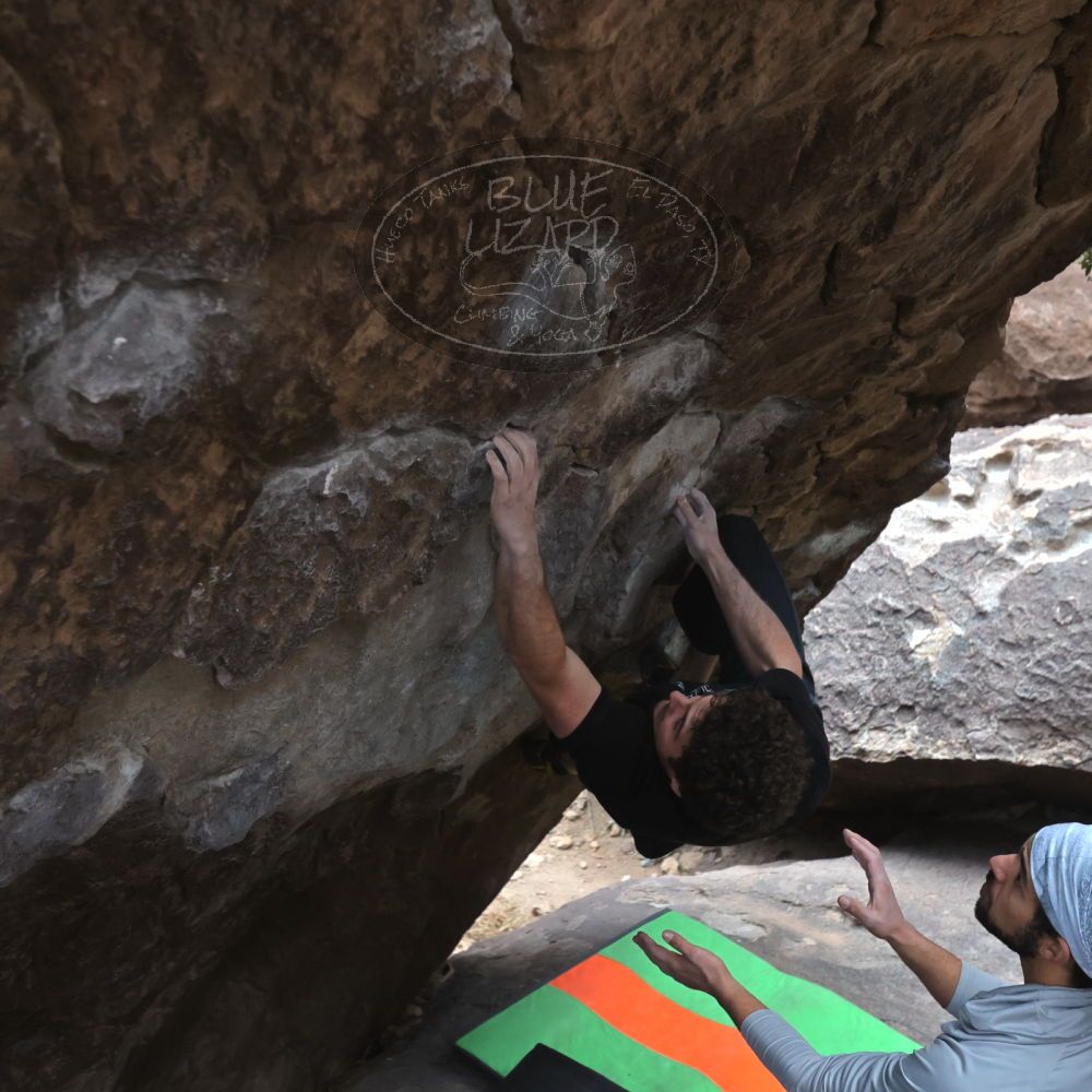 Filename: SRM_20221228_1641390.jpg
Aperture: f/4.0
Shutter Speed: 1/250
Body: Canon EOS R6
Lens: Canon EF 16-35mm f/2.8 L