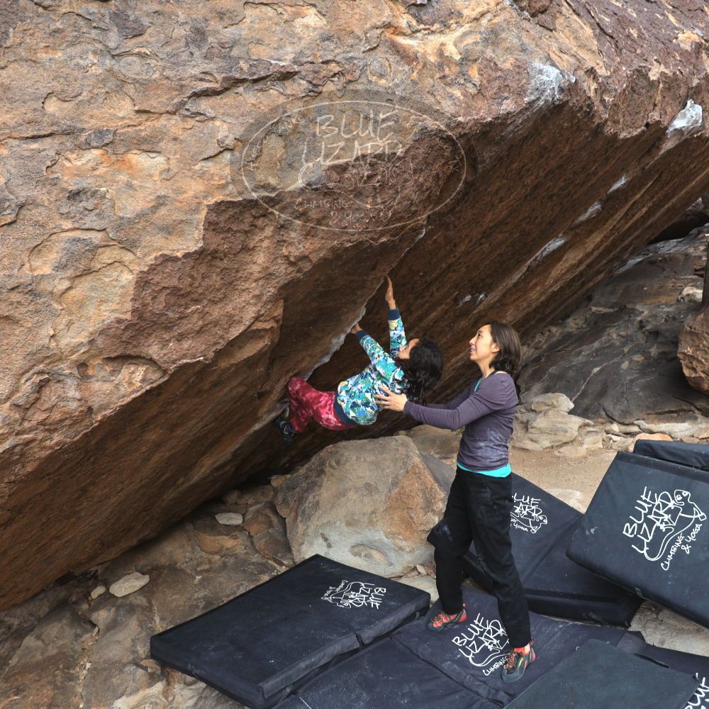 

Filename: SRM_20230101_1013060.jpg
Aperture: f/4.0
Shutter Speed: 1/250
Body: Canon EOS R6
Lens: Canon EF 16-35mm f/2.8 L