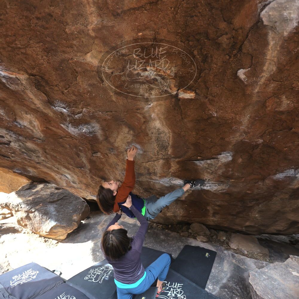 

Filename: SRM_20230101_1115480.jpg
Aperture: f/4.0
Shutter Speed: 1/250
Body: Canon EOS R6
Lens: Canon EF 16-35mm f/2.8 L