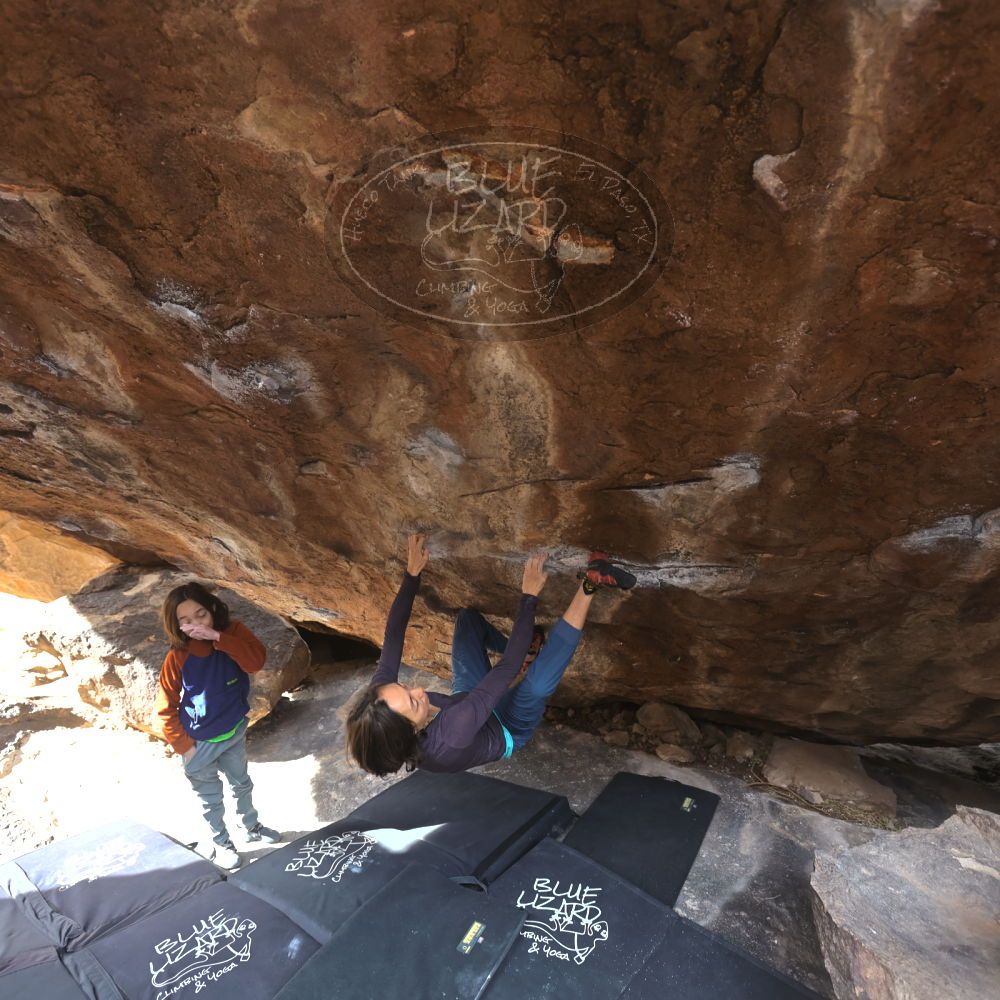 

Filename: SRM_20230101_1116270.jpg
Aperture: f/4.0
Shutter Speed: 1/250
Body: Canon EOS R6
Lens: Canon EF 16-35mm f/2.8 L