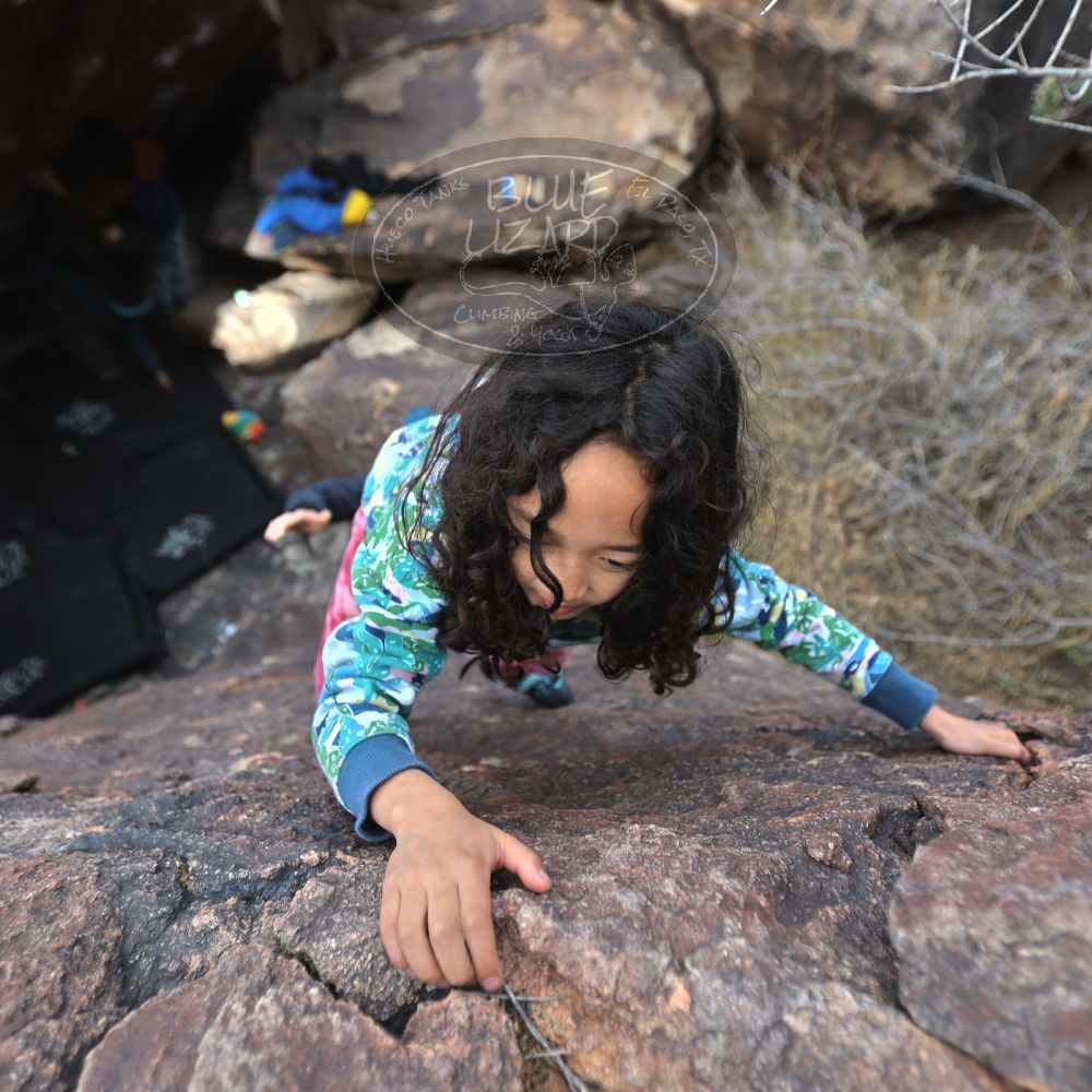 

Filename: SRM_20230101_1118490.jpg
Aperture: f/2.8
Shutter Speed: 1/1000
Body: Canon EOS R6
Lens: Canon EF 16-35mm f/2.8 L