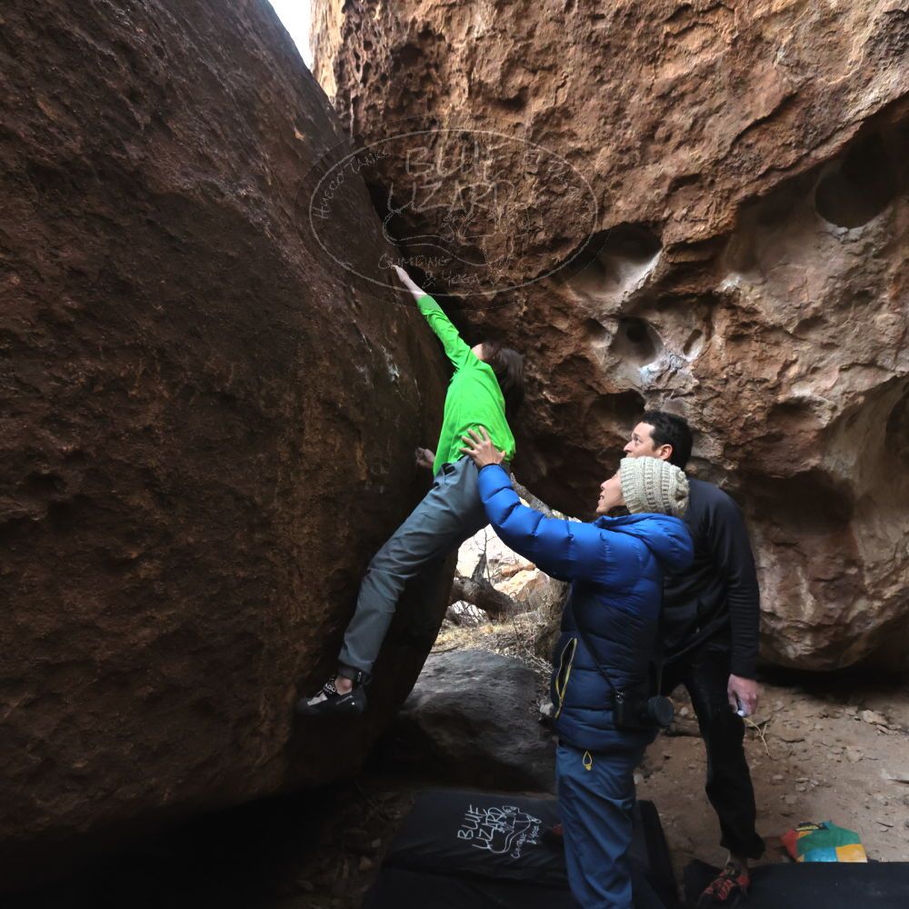 

Filename: SRM_20230101_1632421.jpg
Aperture: f/5.6
Shutter Speed: 1/500
Body: Canon EOS R6
Lens: Canon EF 16-35mm f/2.8 L