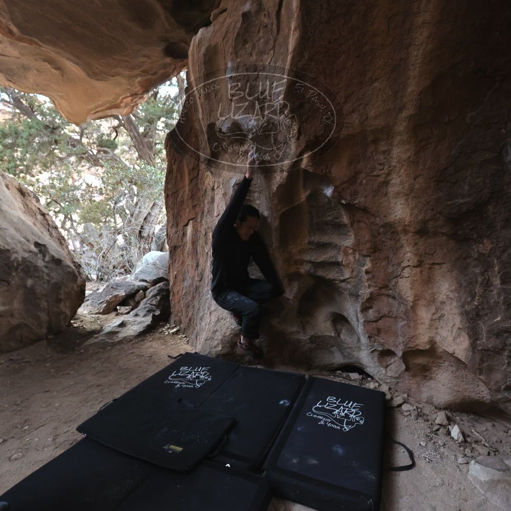 

Filename: SRM_20230101_1643320.jpg
Aperture: f/4.0
Shutter Speed: 1/250
Body: Canon EOS R6
Lens: Canon EF 16-35mm f/2.8 L