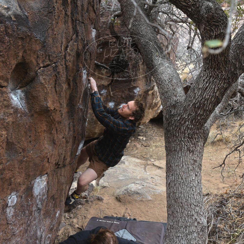 Filename: SRM_20230107_1043030.jpg
Aperture: f/4.0
Shutter Speed: 1/250
Body: Canon EOS R6
Lens: Canon EF 16-35mm f/2.8 L