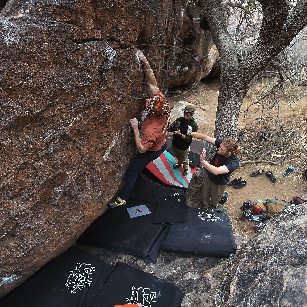 Filename: SRM_20230107_1047091.jpg
Aperture: f/4.0
Shutter Speed: 1/250
Body: Canon EOS R6
Lens: Canon EF 16-35mm f/2.8 L