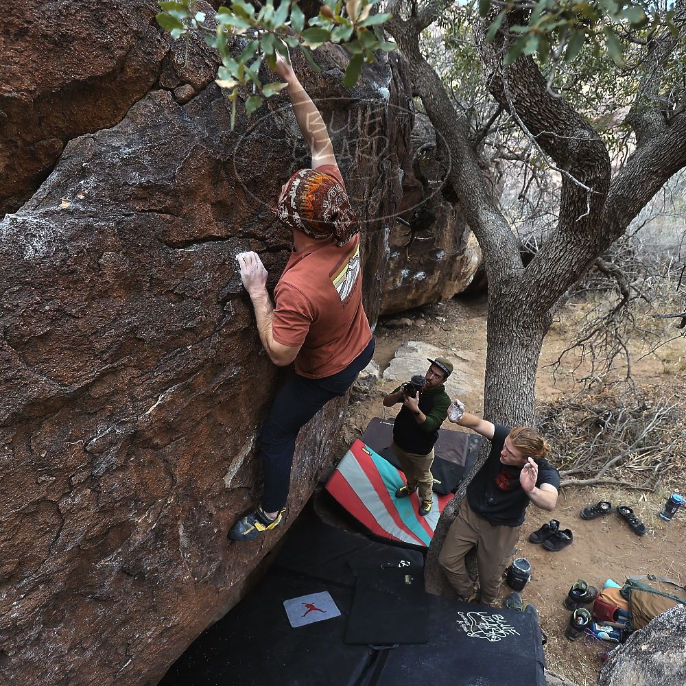 

Filename: SRM_20230107_1047181.jpg
Aperture: f/4.0
Shutter Speed: 1/250
Body: Canon EOS R6
Lens: Canon EF 16-35mm f/2.8 L