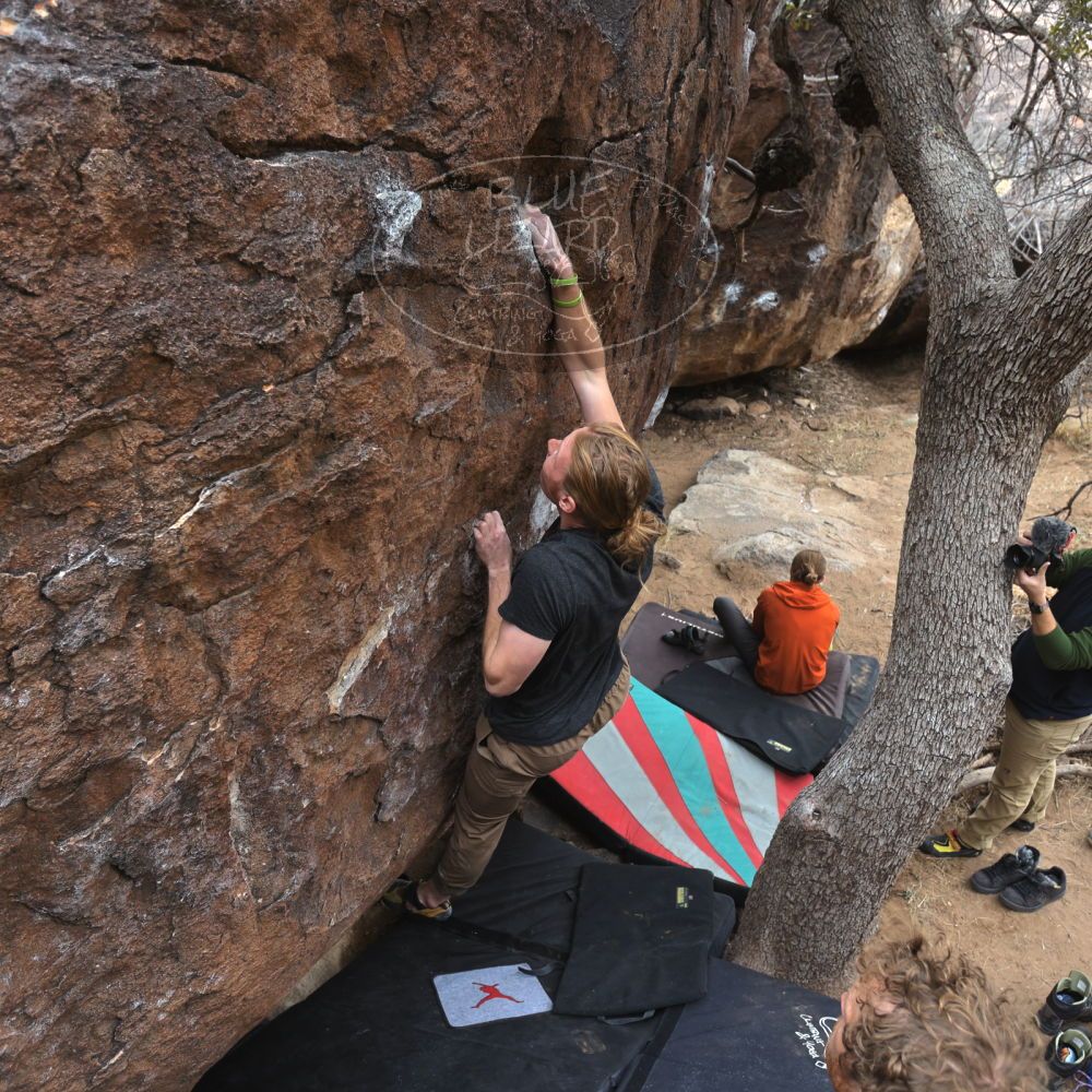 Filename: SRM_20230107_1049361.jpg
Aperture: f/4.0
Shutter Speed: 1/250
Body: Canon EOS R6
Lens: Canon EF 16-35mm f/2.8 L