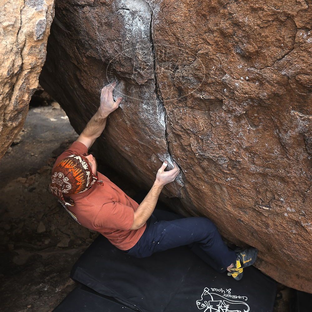 

Filename: SRM_20230107_1053380.jpg
Aperture: f/4.0
Shutter Speed: 1/250
Body: Canon EOS R6
Lens: Canon EF 16-35mm f/2.8 L