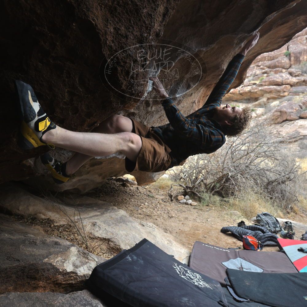 Filename: SRM_20230107_1110100.jpg
Aperture: f/4.0
Shutter Speed: 1/250
Body: Canon EOS R6
Lens: Canon EF 16-35mm f/2.8 L