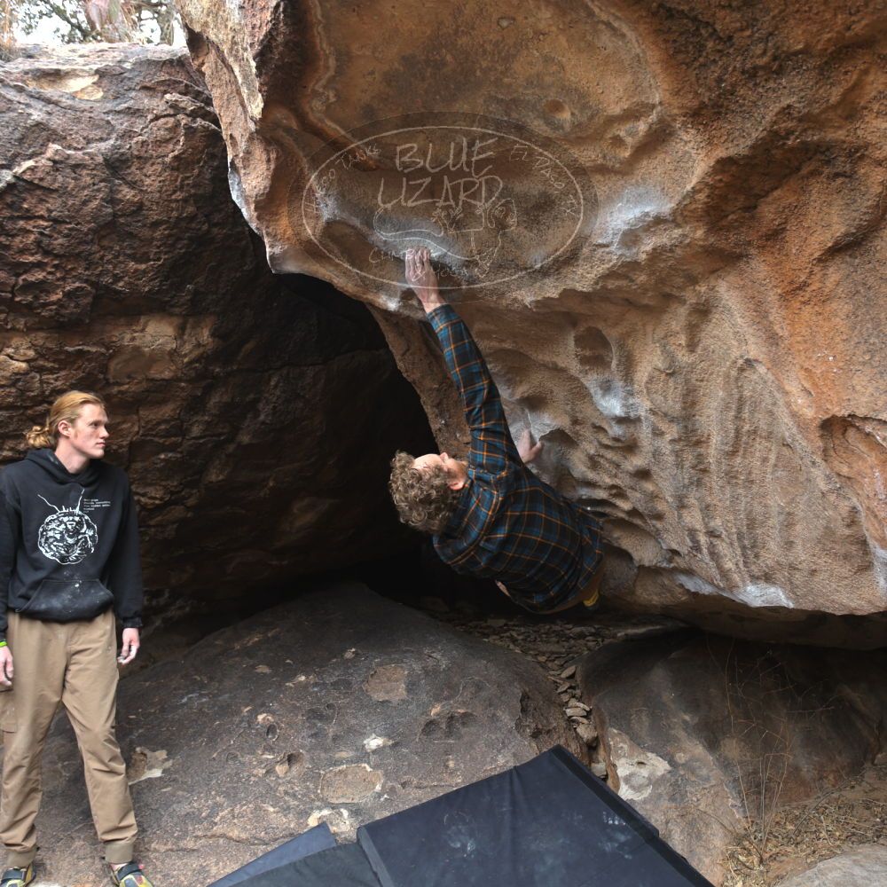 

Filename: SRM_20230107_1114080.jpg
Aperture: f/4.0
Shutter Speed: 1/250
Body: Canon EOS R6
Lens: Canon EF 16-35mm f/2.8 L