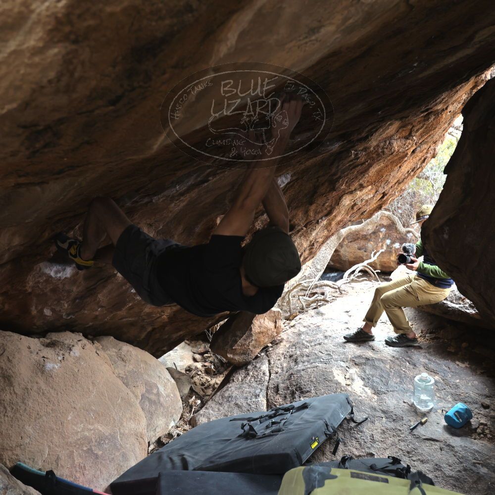 Filename: SRM_20230107_1125590.jpg
Aperture: f/4.0
Shutter Speed: 1/400
Body: Canon EOS R6
Lens: Canon EF 16-35mm f/2.8 L