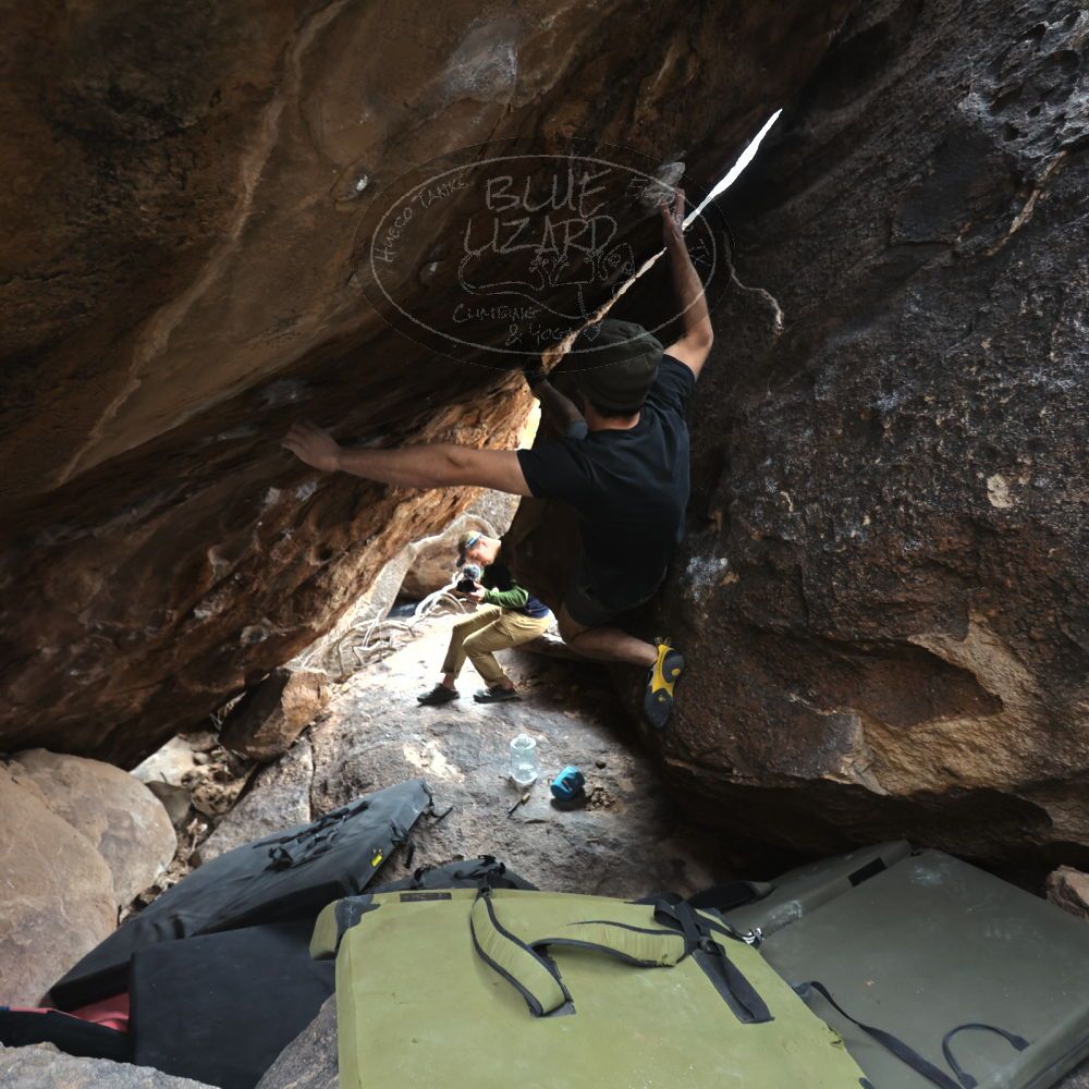 Filename: SRM_20230107_1126085.jpg
Aperture: f/4.0
Shutter Speed: 1/400
Body: Canon EOS R6
Lens: Canon EF 16-35mm f/2.8 L