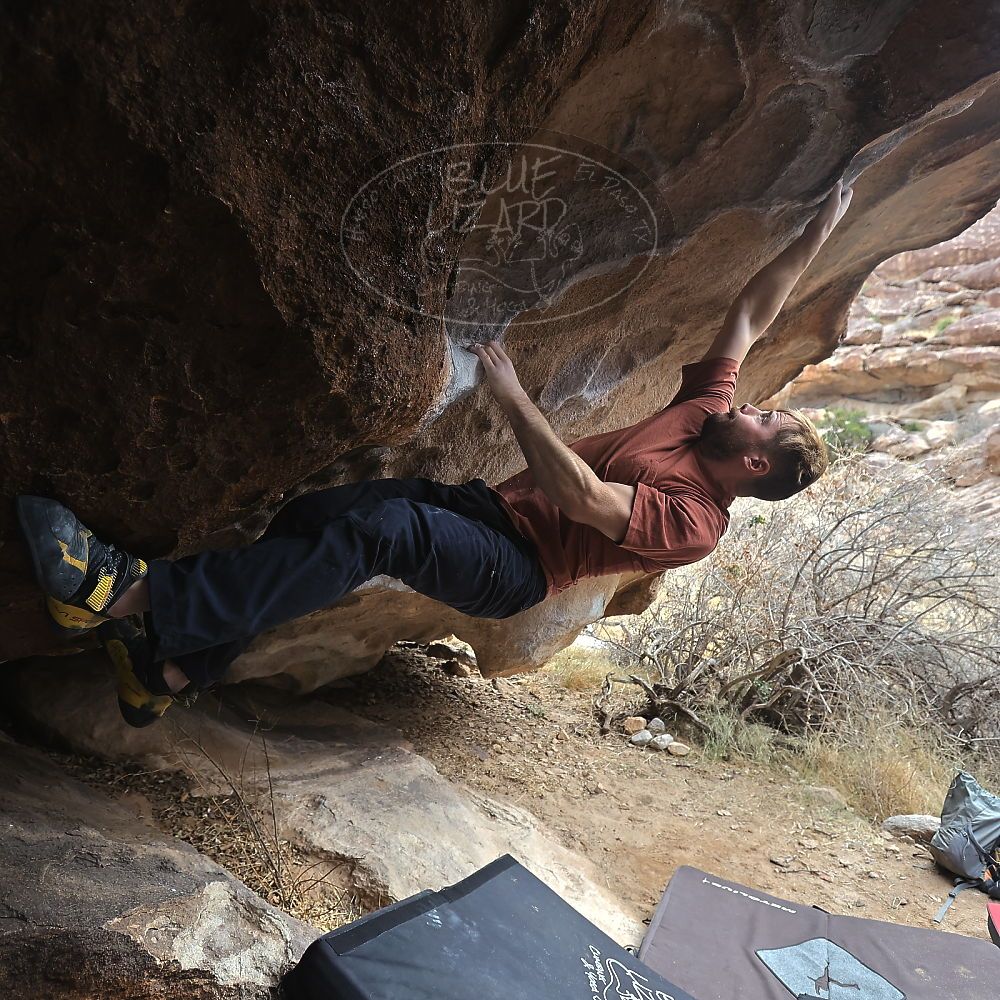 Filename: SRM_20230107_1130410.jpg
Aperture: f/4.0
Shutter Speed: 1/500
Body: Canon EOS R6
Lens: Canon EF 16-35mm f/2.8 L