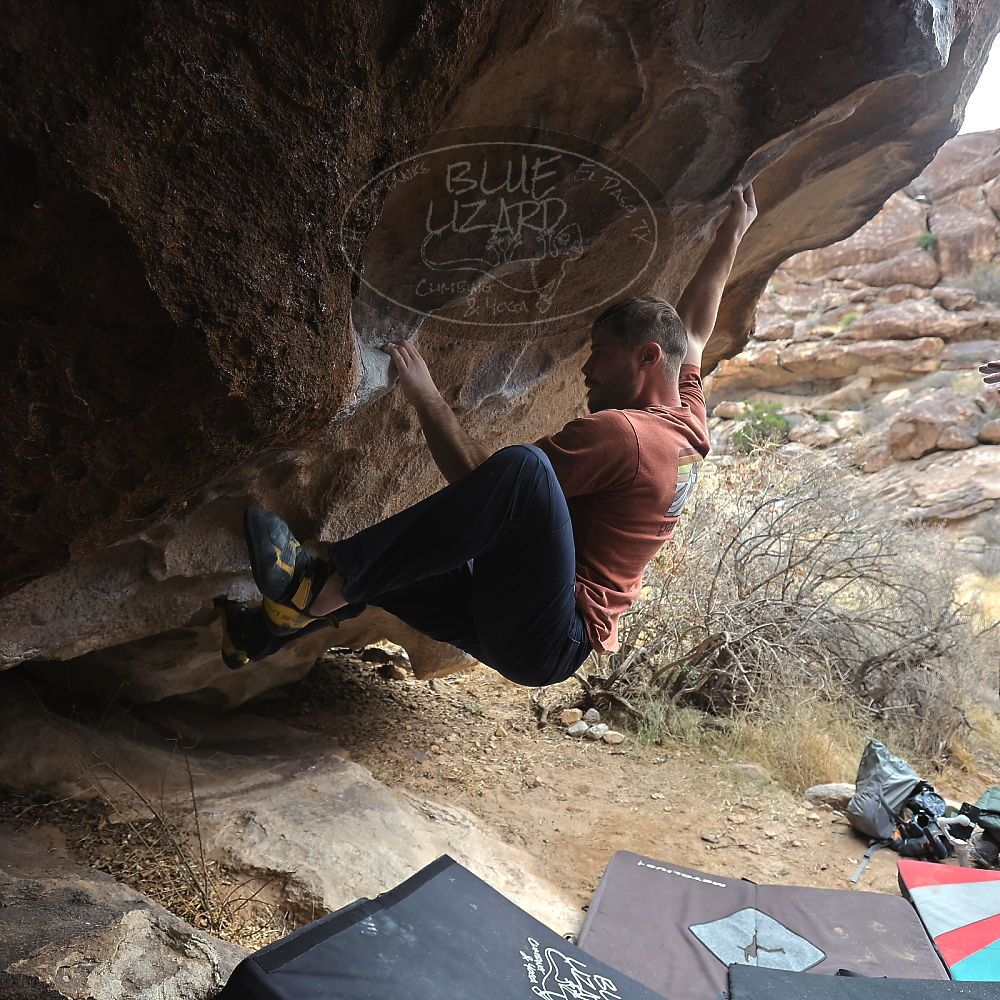 Filename: SRM_20230107_1130431.jpg
Aperture: f/4.0
Shutter Speed: 1/500
Body: Canon EOS R6
Lens: Canon EF 16-35mm f/2.8 L