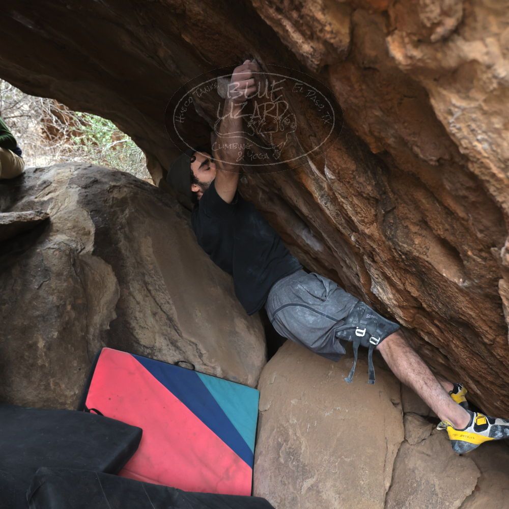 Filename: SRM_20230107_1148341.jpg
Aperture: f/4.0
Shutter Speed: 1/800
Body: Canon EOS R6
Lens: Canon EF 16-35mm f/2.8 L