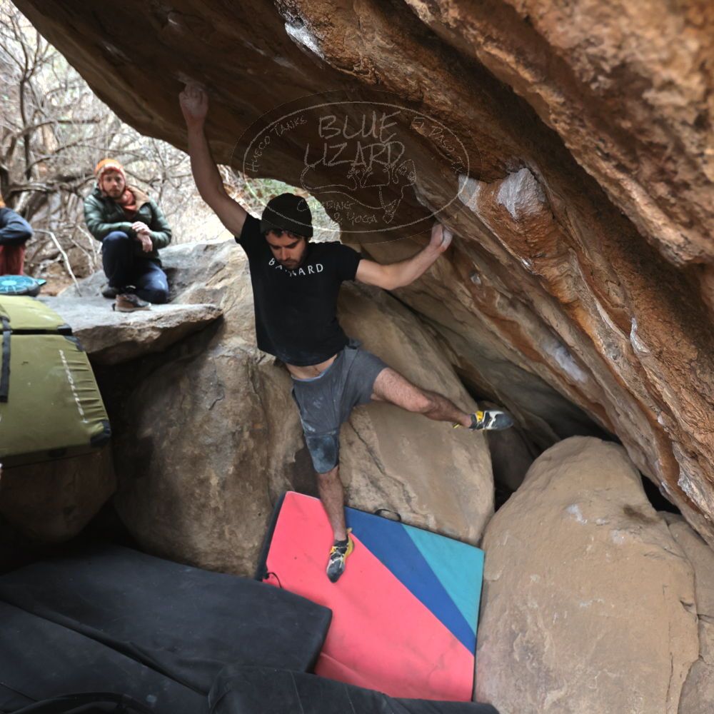 

Filename: SRM_20230107_1214071.jpg
Aperture: f/4.0
Shutter Speed: 1/500
Body: Canon EOS R6
Lens: Canon EF 16-35mm f/2.8 L