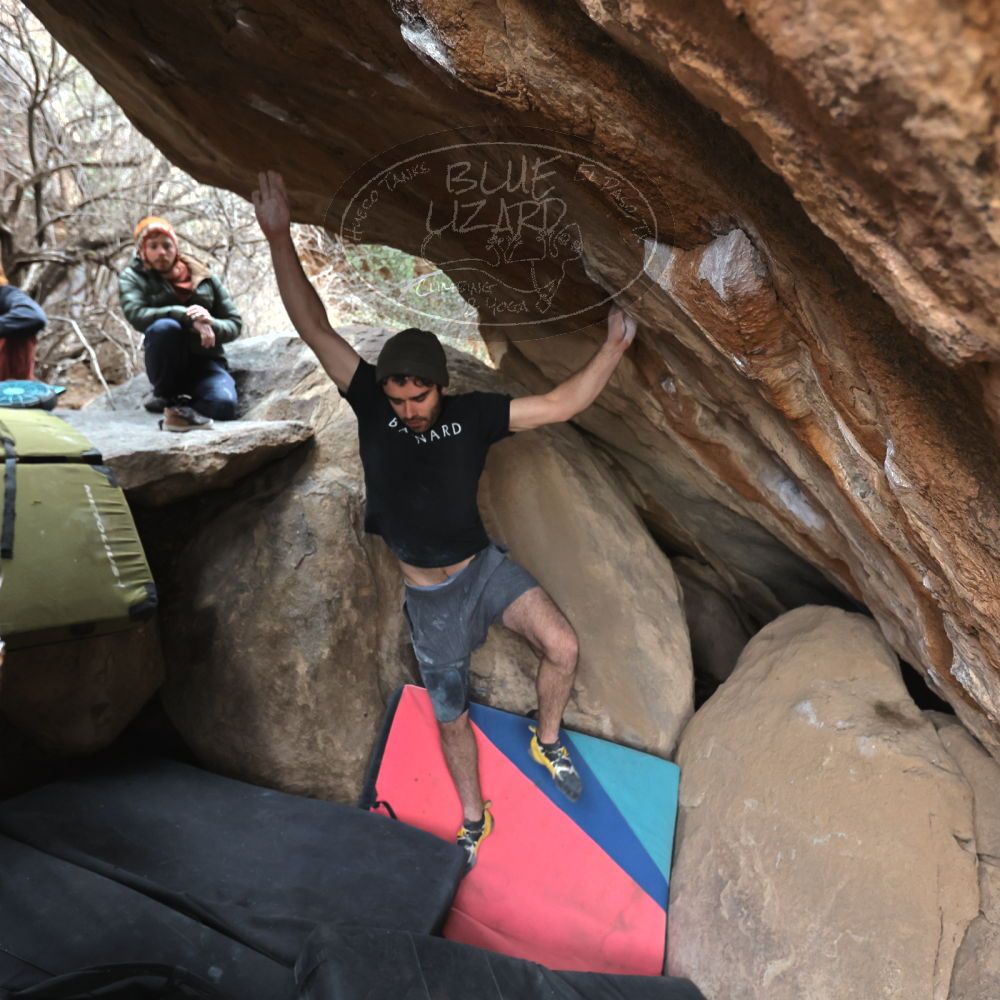 Filename: SRM_20230107_1214080.jpg
Aperture: f/4.0
Shutter Speed: 1/500
Body: Canon EOS R6
Lens: Canon EF 16-35mm f/2.8 L