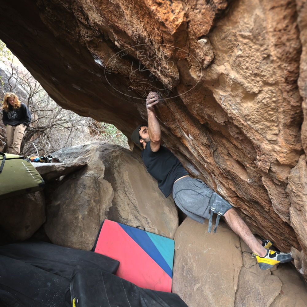 

Filename: SRM_20230107_1226430.jpg
Aperture: f/4.0
Shutter Speed: 1/500
Body: Canon EOS R6
Lens: Canon EF 16-35mm f/2.8 L