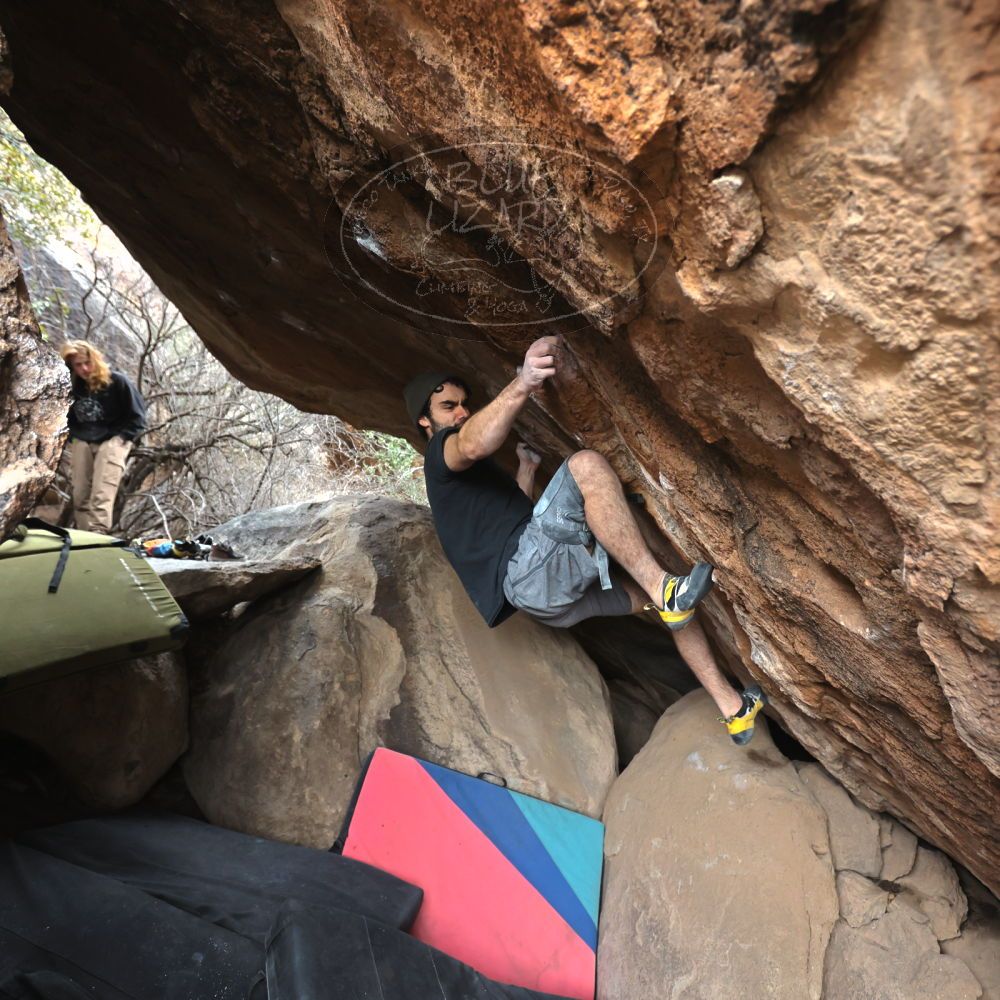 Filename: SRM_20230107_1226460.jpg
Aperture: f/4.0
Shutter Speed: 1/500
Body: Canon EOS R6
Lens: Canon EF 16-35mm f/2.8 L