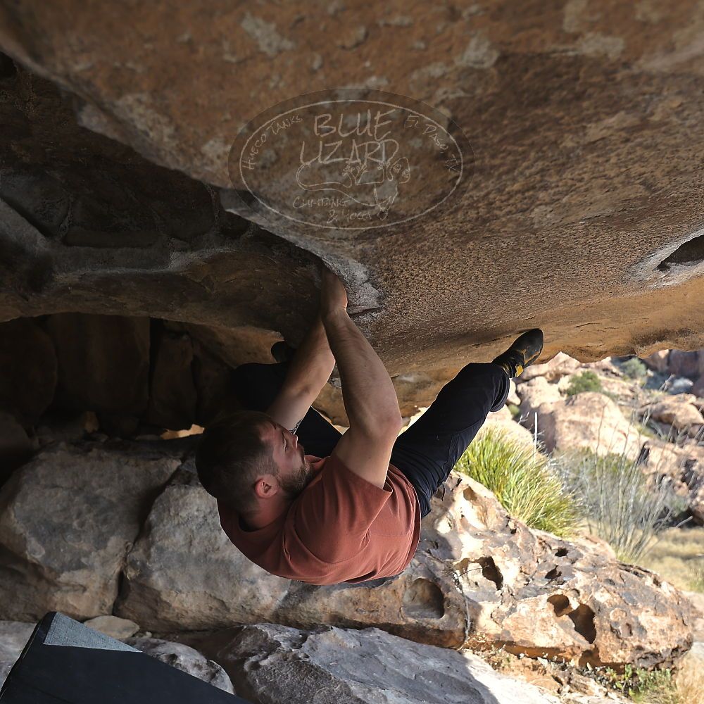 

Filename: SRM_20230107_1317110.jpg
Aperture: f/4.0
Shutter Speed: 1/500
Body: Canon EOS R6
Lens: Canon EF 16-35mm f/2.8 L