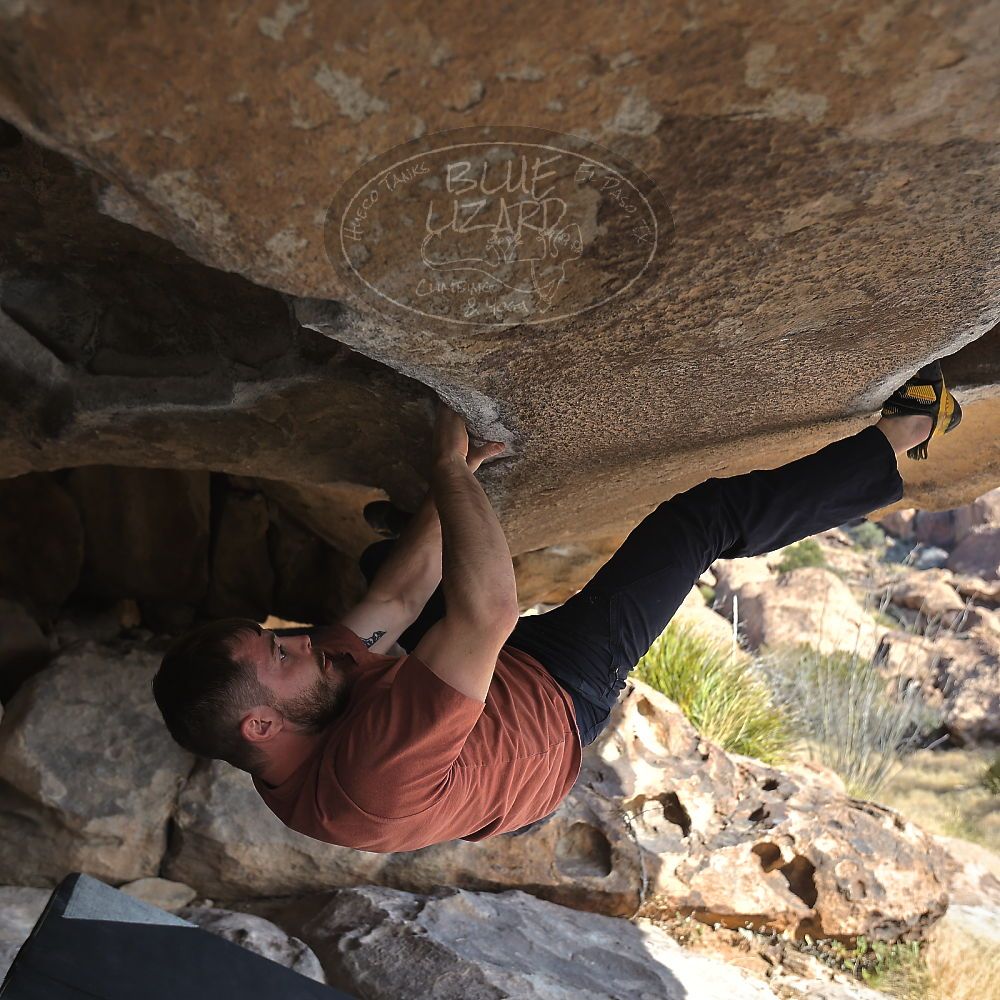 Filename: SRM_20230107_1317120.jpg
Aperture: f/4.0
Shutter Speed: 1/500
Body: Canon EOS R6
Lens: Canon EF 16-35mm f/2.8 L