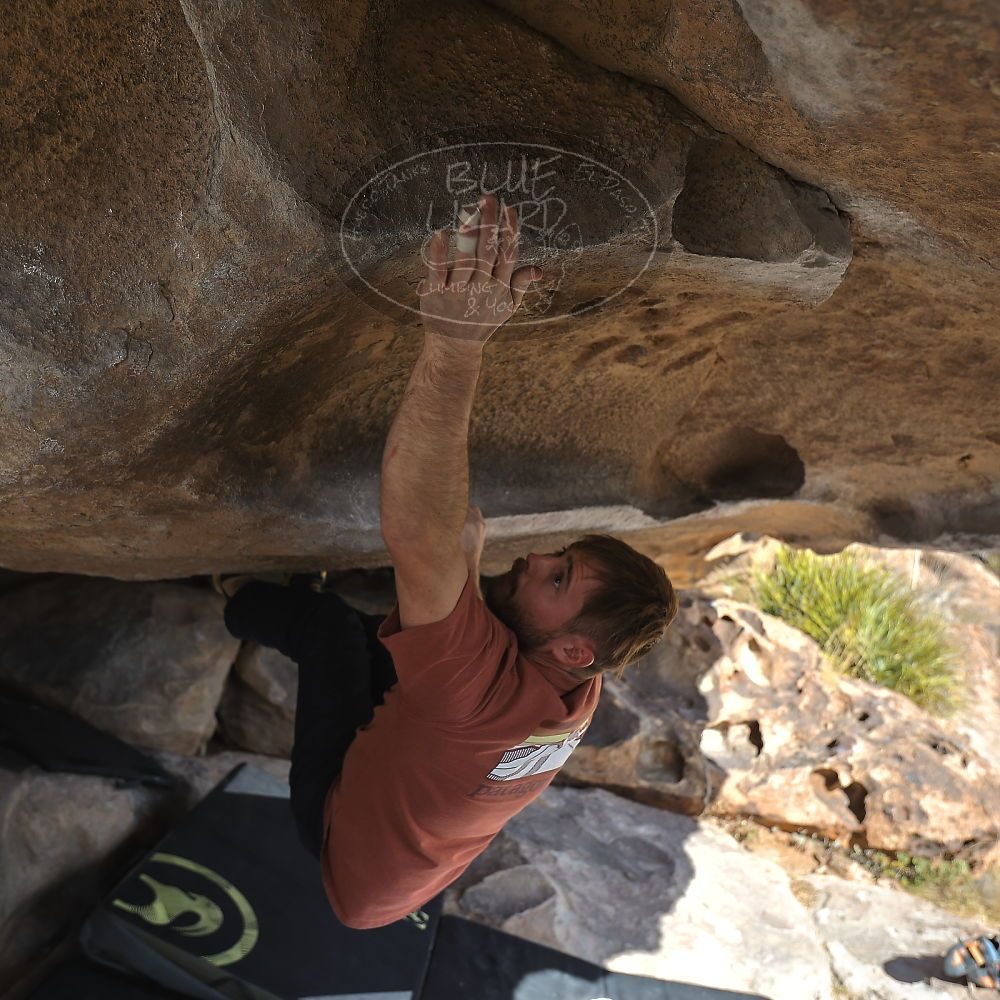 Filename: SRM_20230107_1317300.jpg
Aperture: f/4.0
Shutter Speed: 1/500
Body: Canon EOS R6
Lens: Canon EF 16-35mm f/2.8 L