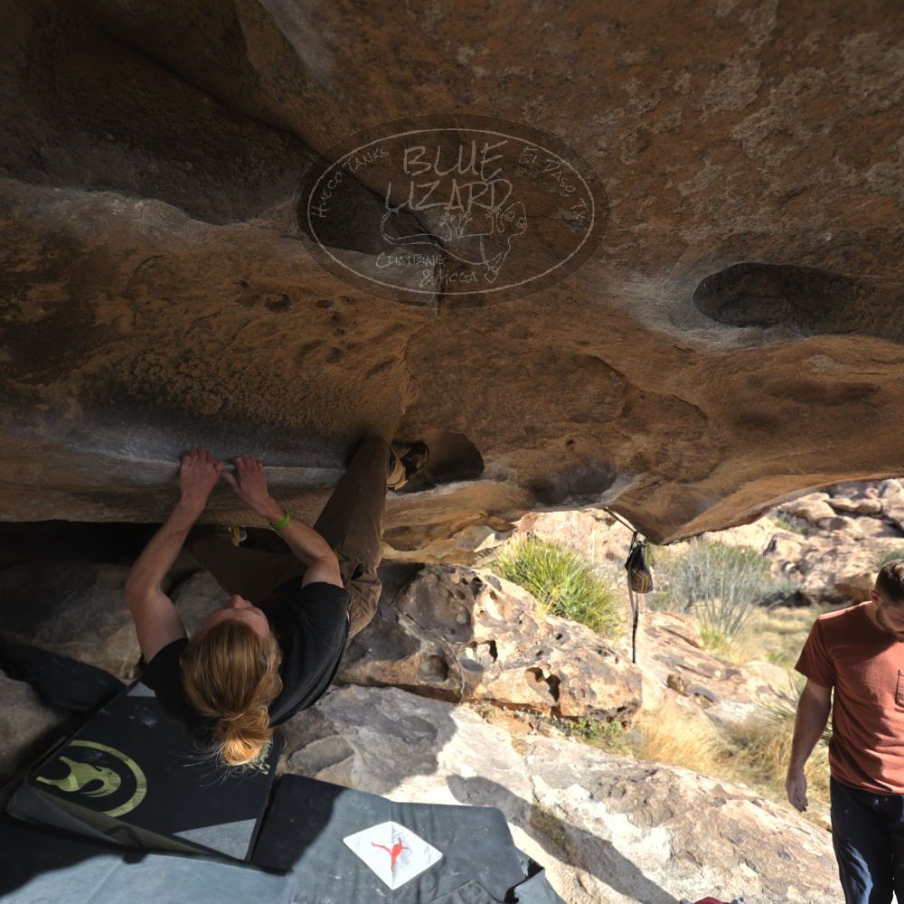 Filename: SRM_20230107_1329400.jpg
Aperture: f/4.0
Shutter Speed: 1/500
Body: Canon EOS R6
Lens: Canon EF 16-35mm f/2.8 L