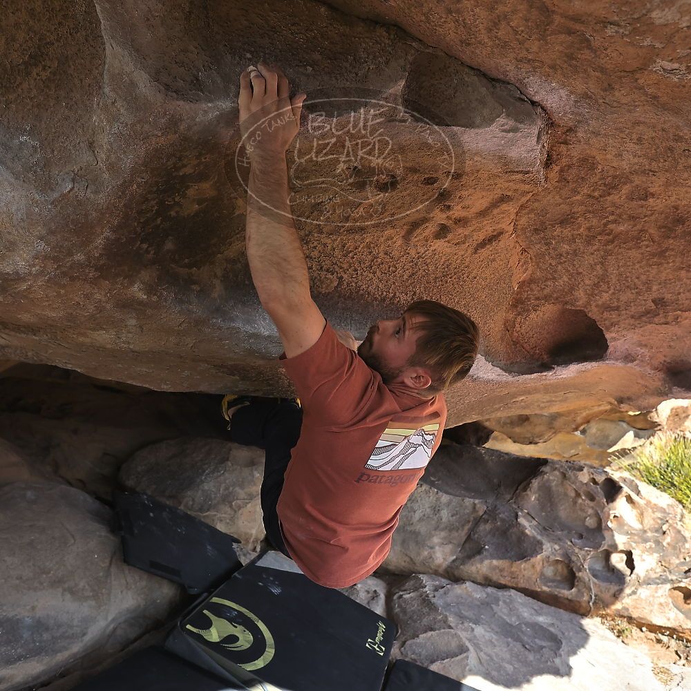 Filename: SRM_20230107_1339050.jpg
Aperture: f/5.6
Shutter Speed: 1/1000
Body: Canon EOS R6
Lens: Canon EF 16-35mm f/2.8 L