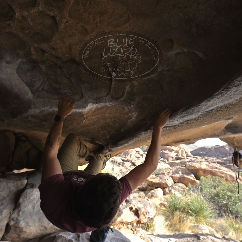 Filename: SRM_20230107_1351440.jpg
Aperture: f/5.6
Shutter Speed: 1/500
Body: Canon EOS R6
Lens: Canon EF 16-35mm f/2.8 L