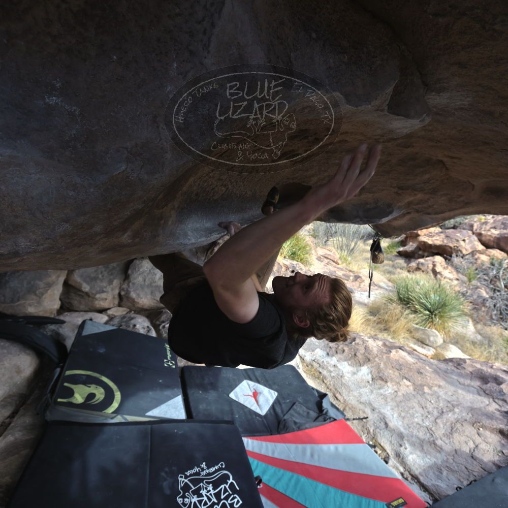 

Filename: SRM_20230107_1353540.jpg
Aperture: f/5.6
Shutter Speed: 1/500
Body: Canon EOS R6
Lens: Canon EF 16-35mm f/2.8 L