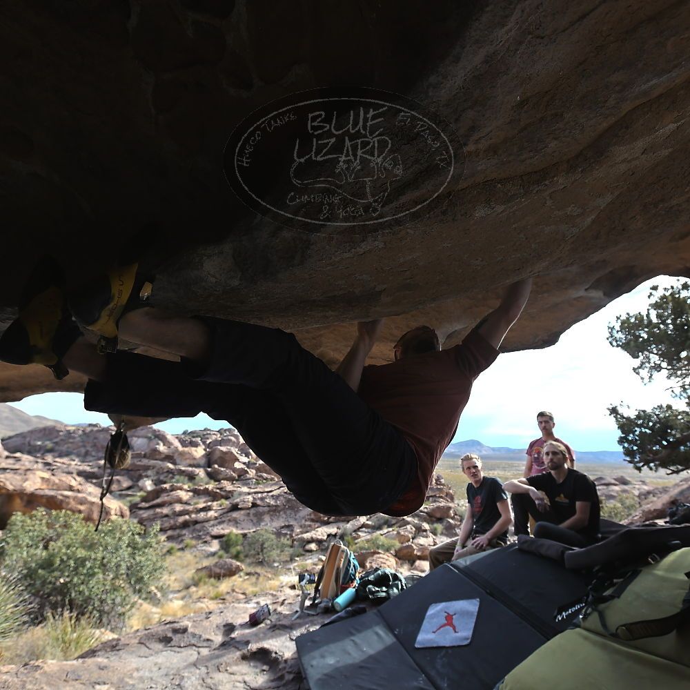 

Filename: SRM_20230107_1356110.jpg
Aperture: f/5.6
Shutter Speed: 1/500
Body: Canon EOS R6
Lens: Canon EF 16-35mm f/2.8 L