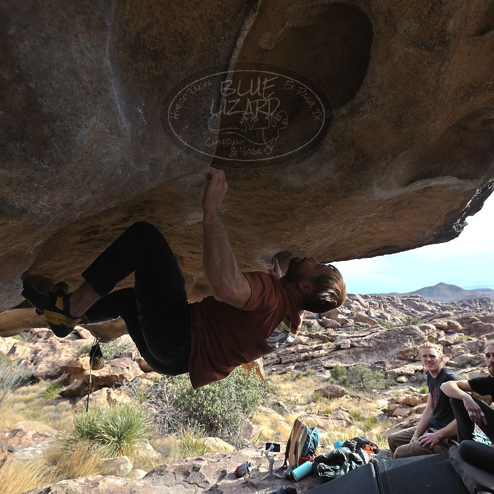 Filename: SRM_20230107_1356221.jpg
Aperture: f/5.6
Shutter Speed: 1/500
Body: Canon EOS R6
Lens: Canon EF 16-35mm f/2.8 L