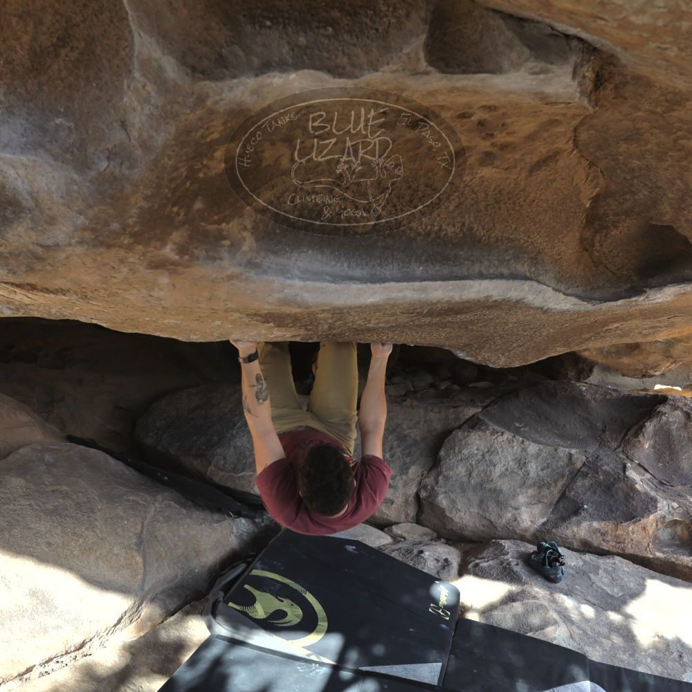 

Filename: SRM_20230107_1438430.jpg
Aperture: f/5.6
Shutter Speed: 1/1000
Body: Canon EOS R6
Lens: Canon EF 16-35mm f/2.8 L