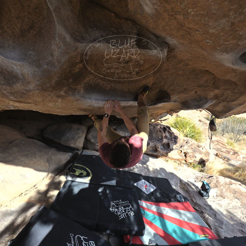 Filename: SRM_20230107_1439150.jpg
Aperture: f/5.6
Shutter Speed: 1/1000
Body: Canon EOS R6
Lens: Canon EF 16-35mm f/2.8 L