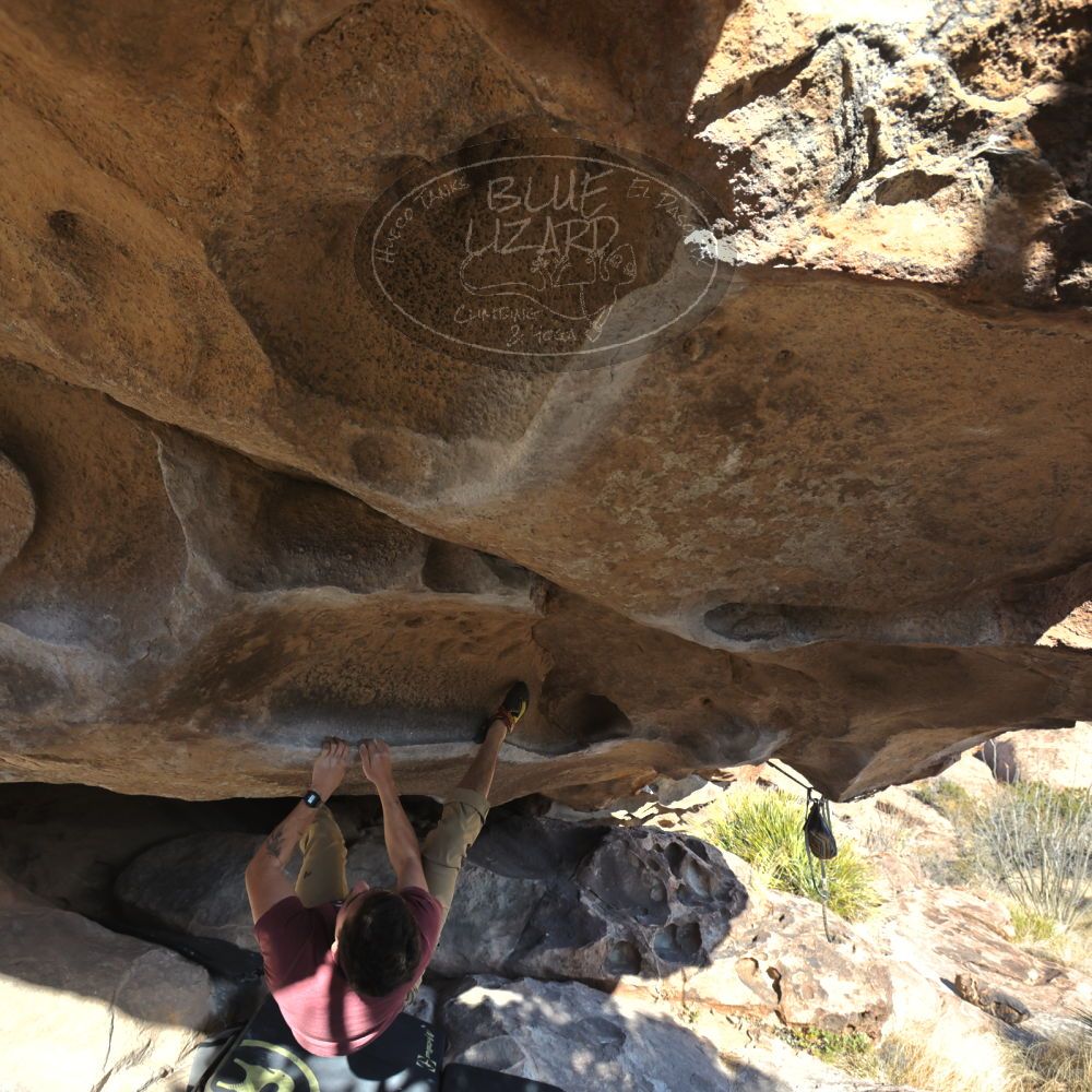 Filename: SRM_20230107_1453080.jpg
Aperture: f/5.6
Shutter Speed: 1/1000
Body: Canon EOS R6
Lens: Canon EF 16-35mm f/2.8 L