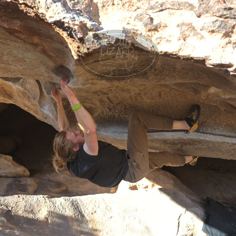 Filename: SRM_20230107_1502061.jpg
Aperture: f/5.6
Shutter Speed: 1/1000
Body: Canon EOS R6
Lens: Canon EF 16-35mm f/2.8 L