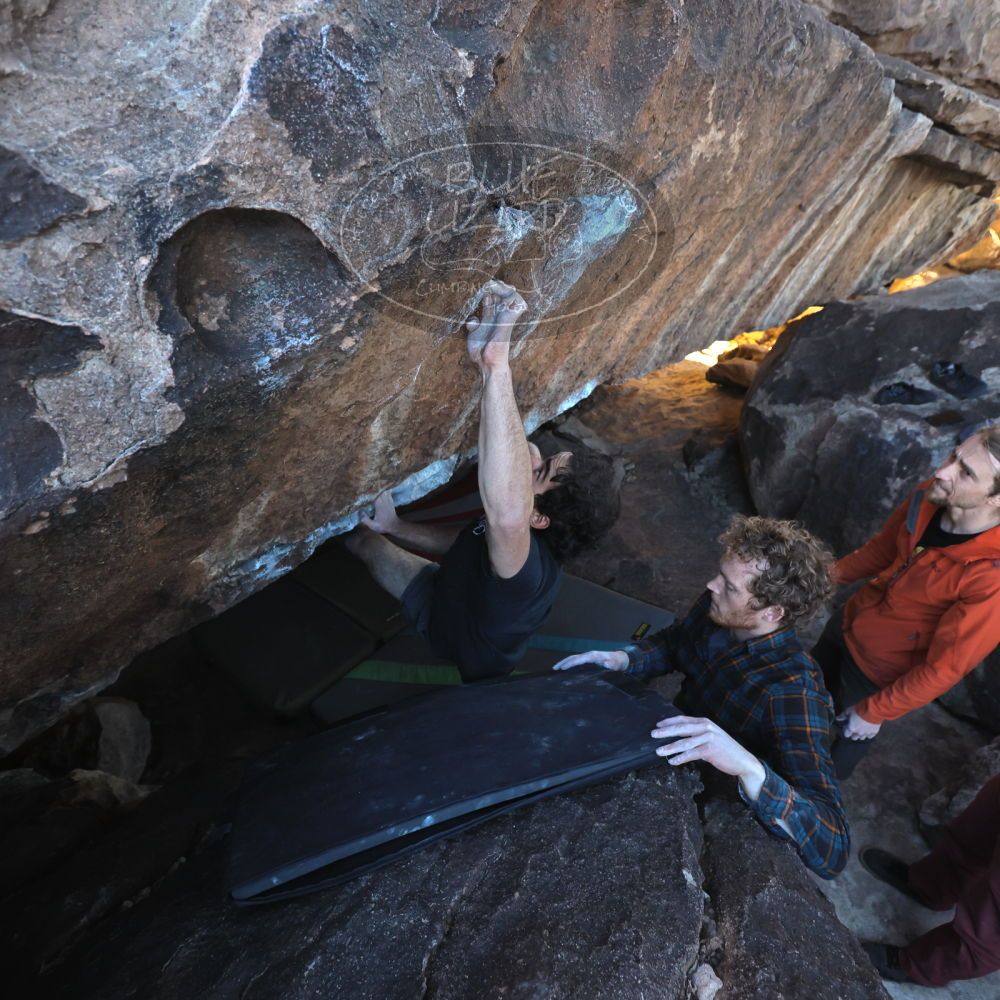 Filename: SRM_20230107_1544060.jpg
Aperture: f/4.0
Shutter Speed: 1/500
Body: Canon EOS R6
Lens: Canon EF 16-35mm f/2.8 L