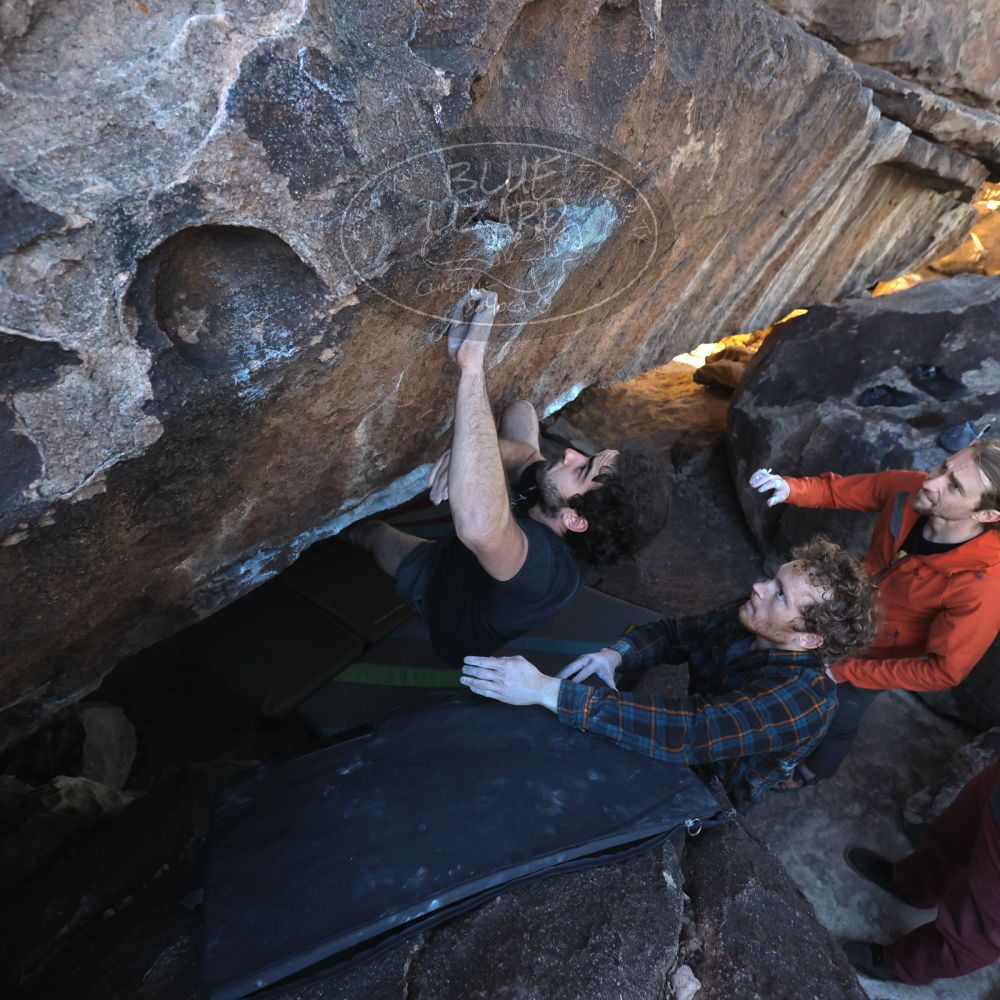 

Filename: SRM_20230107_1544061.jpg
Aperture: f/4.0
Shutter Speed: 1/500
Body: Canon EOS R6
Lens: Canon EF 16-35mm f/2.8 L