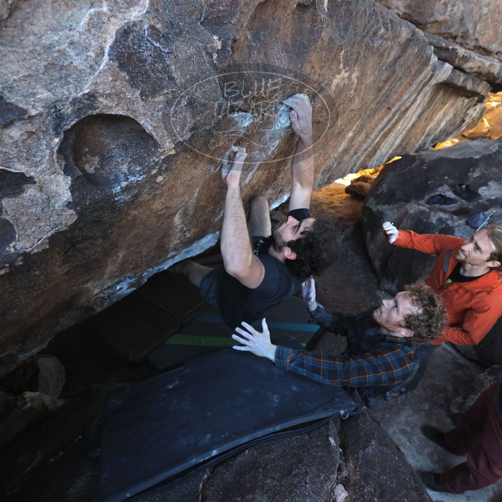 Filename: SRM_20230107_1544070.jpg
Aperture: f/4.0
Shutter Speed: 1/500
Body: Canon EOS R6
Lens: Canon EF 16-35mm f/2.8 L