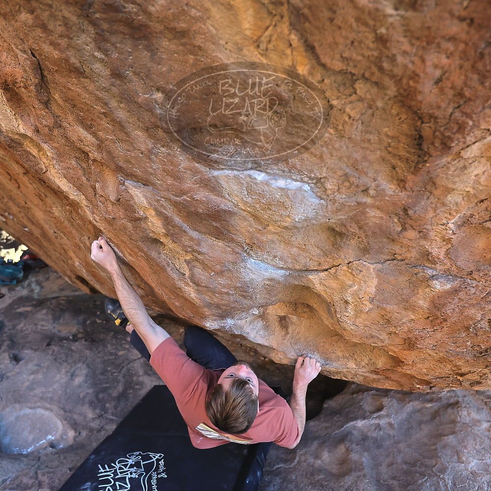 

Filename: SRM_20230107_1619320.jpg
Aperture: f/4.0
Shutter Speed: 1/500
Body: Canon EOS R6
Lens: Canon EF 16-35mm f/2.8 L