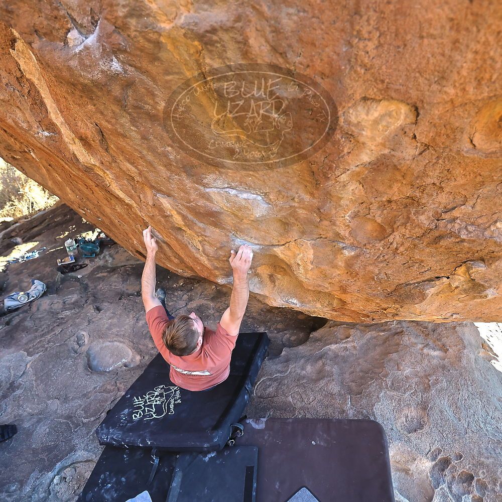 Filename: SRM_20230107_1631130.jpg
Aperture: f/4.0
Shutter Speed: 1/500
Body: Canon EOS R6
Lens: Canon EF 16-35mm f/2.8 L