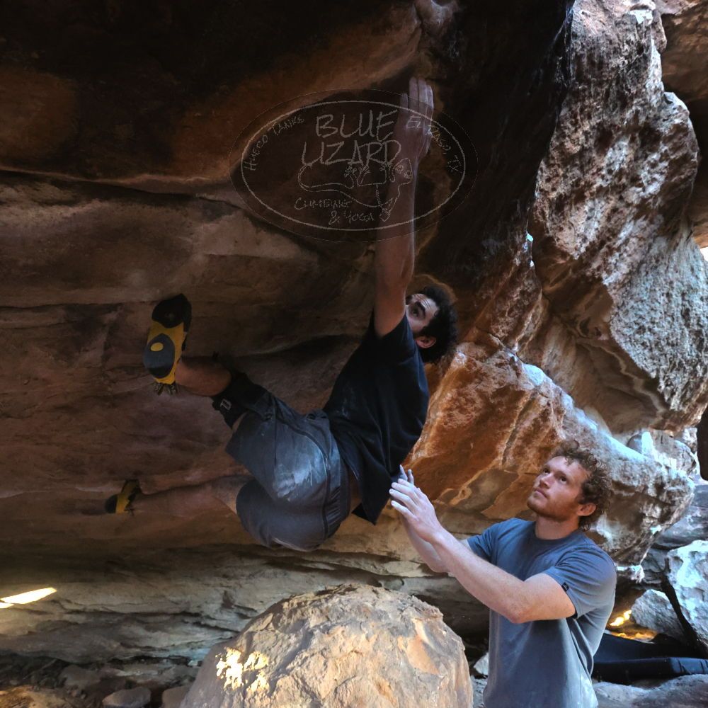 

Filename: SRM_20230107_1633300.jpg
Aperture: f/4.0
Shutter Speed: 1/500
Body: Canon EOS R6
Lens: Canon EF 16-35mm f/2.8 L