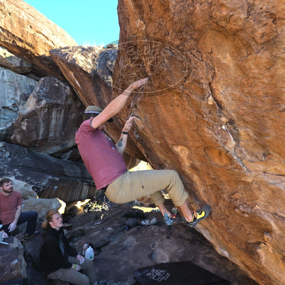 

Filename: SRM_20230107_1635210.jpg
Aperture: f/4.0
Shutter Speed: 1/500
Body: Canon EOS R6
Lens: Canon EF 16-35mm f/2.8 L