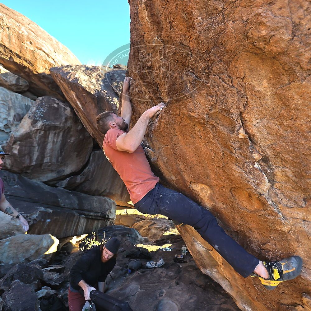 Filename: SRM_20230107_1636200.jpg
Aperture: f/4.0
Shutter Speed: 1/500
Body: Canon EOS R6
Lens: Canon EF 16-35mm f/2.8 L