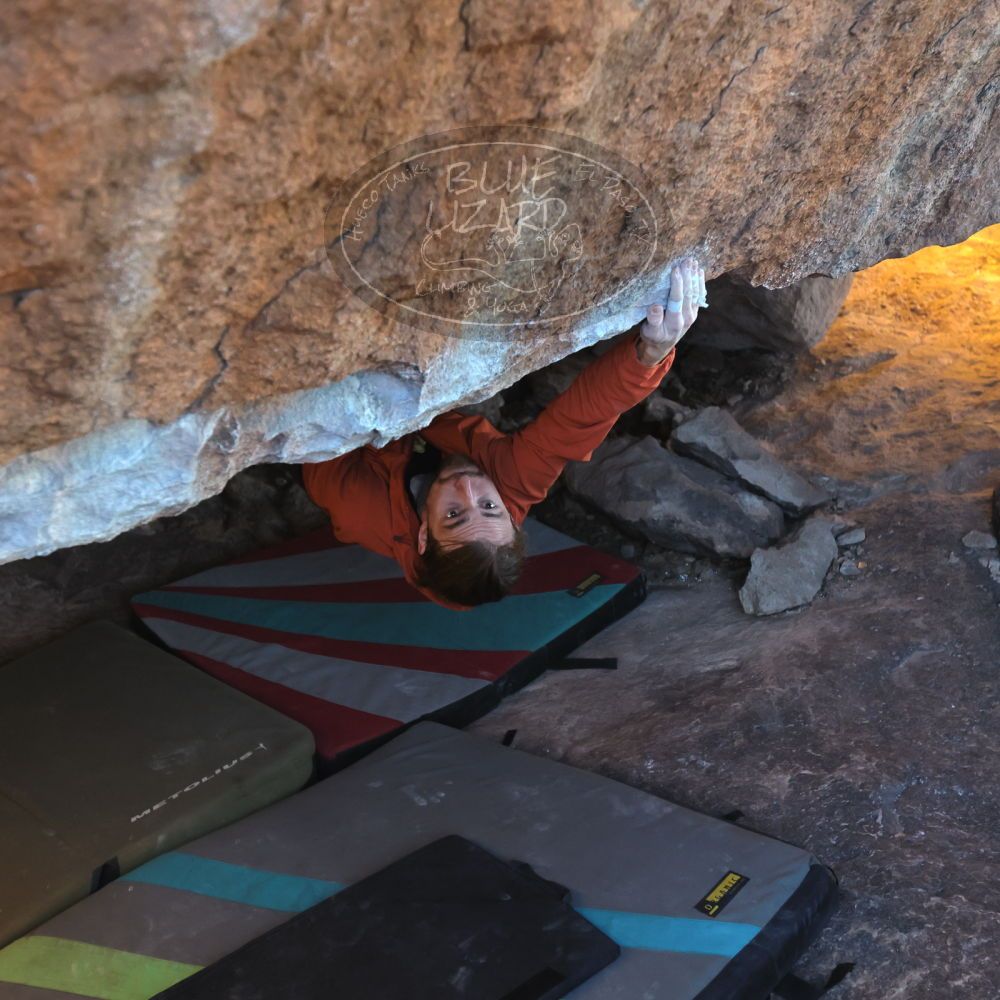 Filename: SRM_20230107_1641100.jpg
Aperture: f/4.0
Shutter Speed: 1/500
Body: Canon EOS R6
Lens: Canon EF 16-35mm f/2.8 L