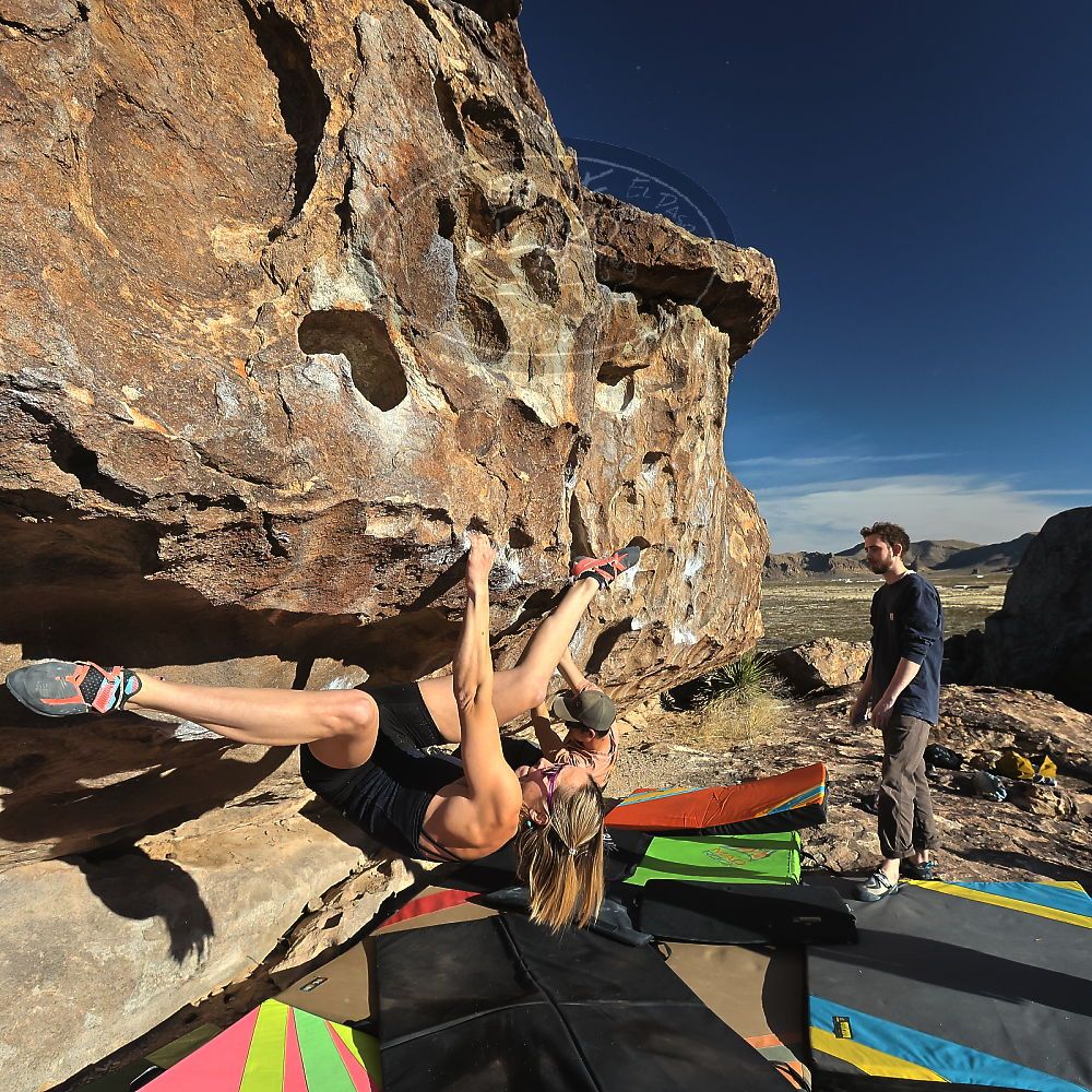 

Filename: SRM_20230114_0856500.jpg
Aperture: f/8.0
Shutter Speed: 1/3200
Body: Canon EOS R6
Lens: Canon EF 16-35mm f/2.8 L