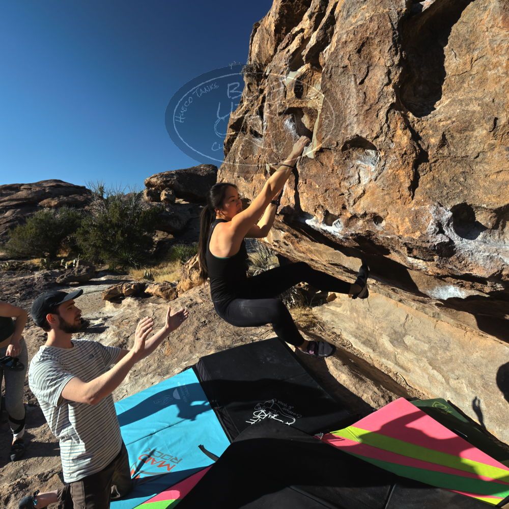 Filename: SRM_20230114_0905110.jpg
Aperture: f/8.0
Shutter Speed: 1/800
Body: Canon EOS R6
Lens: Canon EF 16-35mm f/2.8 L