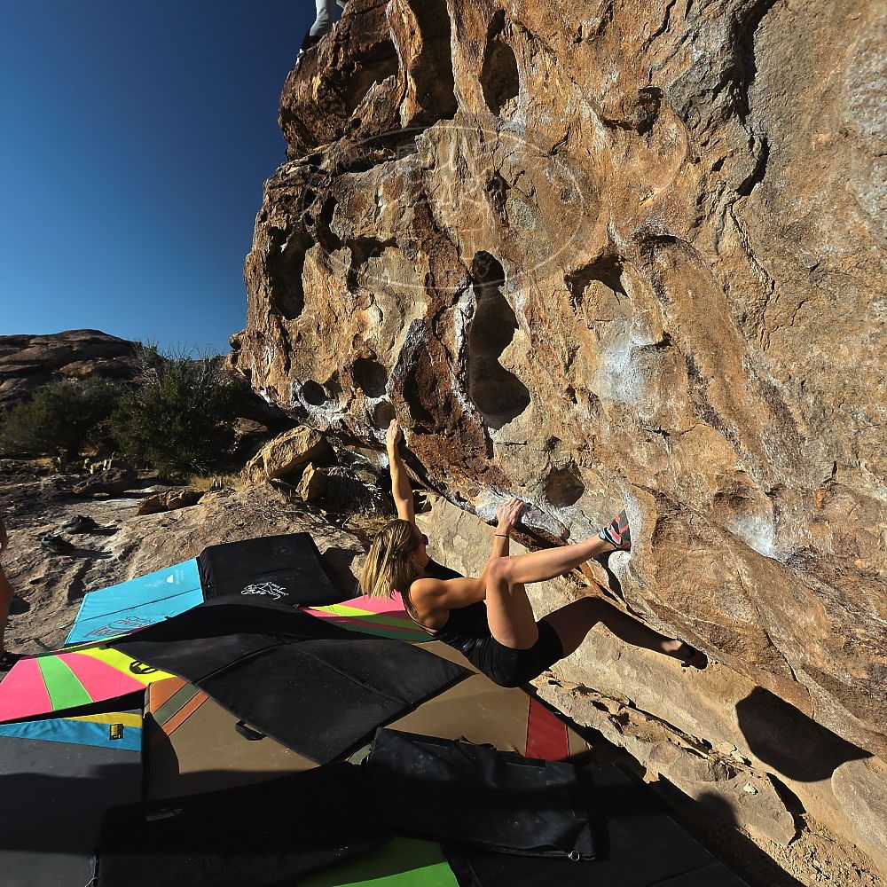 Filename: SRM_20230114_0907510.jpg
Aperture: f/8.0
Shutter Speed: 1/800
Body: Canon EOS R6
Lens: Canon EF 16-35mm f/2.8 L