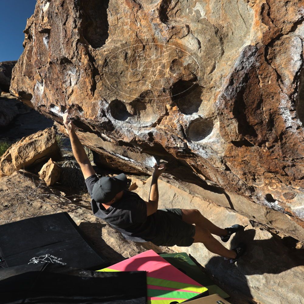 

Filename: SRM_20230114_0909530.jpg
Aperture: f/5.6
Shutter Speed: 1/640
Body: Canon EOS R6
Lens: Canon EF 16-35mm f/2.8 L